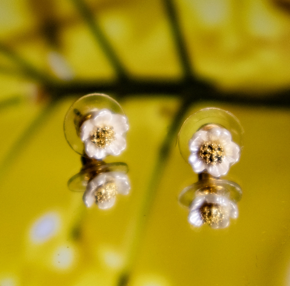 White Blossom Stud Earrings